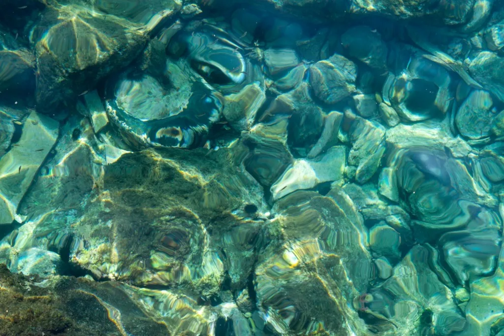Kuşadası denizinin berrak turkuaz sularında, güneşin dalgalanan yansımalarıyla parlayan çeşitli boyutlarda kayalıkların oluşturduğu net bir deniz dibi ve aralarında hareket eden küçük balıkların görüldüğü etkileyici bir görüntü.
