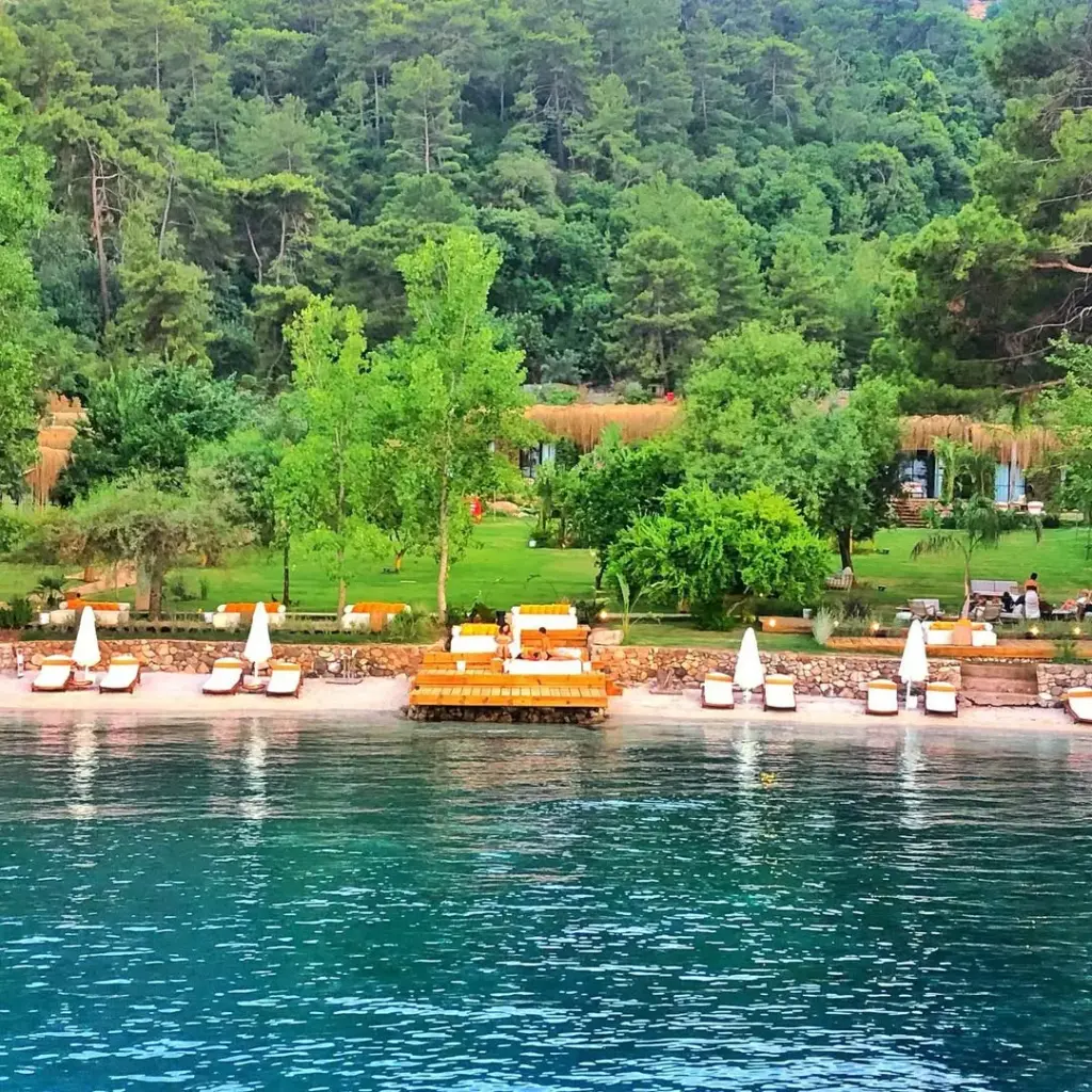 Ege kıyılarının bakir koylarından Turunç Pınarı'nda, yemyeşil ormanla çevrili masmavi denizin kucağında, rafine konaklama alanları ve şezlongların sıralandığı kumlu plaj, mavi yolculuk yapanlara huzurlu bir sığınak sunuyor.