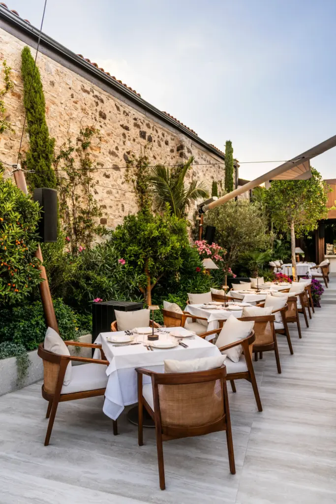 Bodrum'un kalbindeki bu en iyi restoranlarından birinde, yemyeşil bitkilerle süslü taş bir duvarın önünde sıralanmış, beyaz masa örtülü zarif ahşap sandalyelerle döşenmiş açık hava yemek alanı, Bodrum mandalinası ağaçları ve begonvillerle çevrili doğal ve şık bir Akdeniz atmosferi sunuyor.