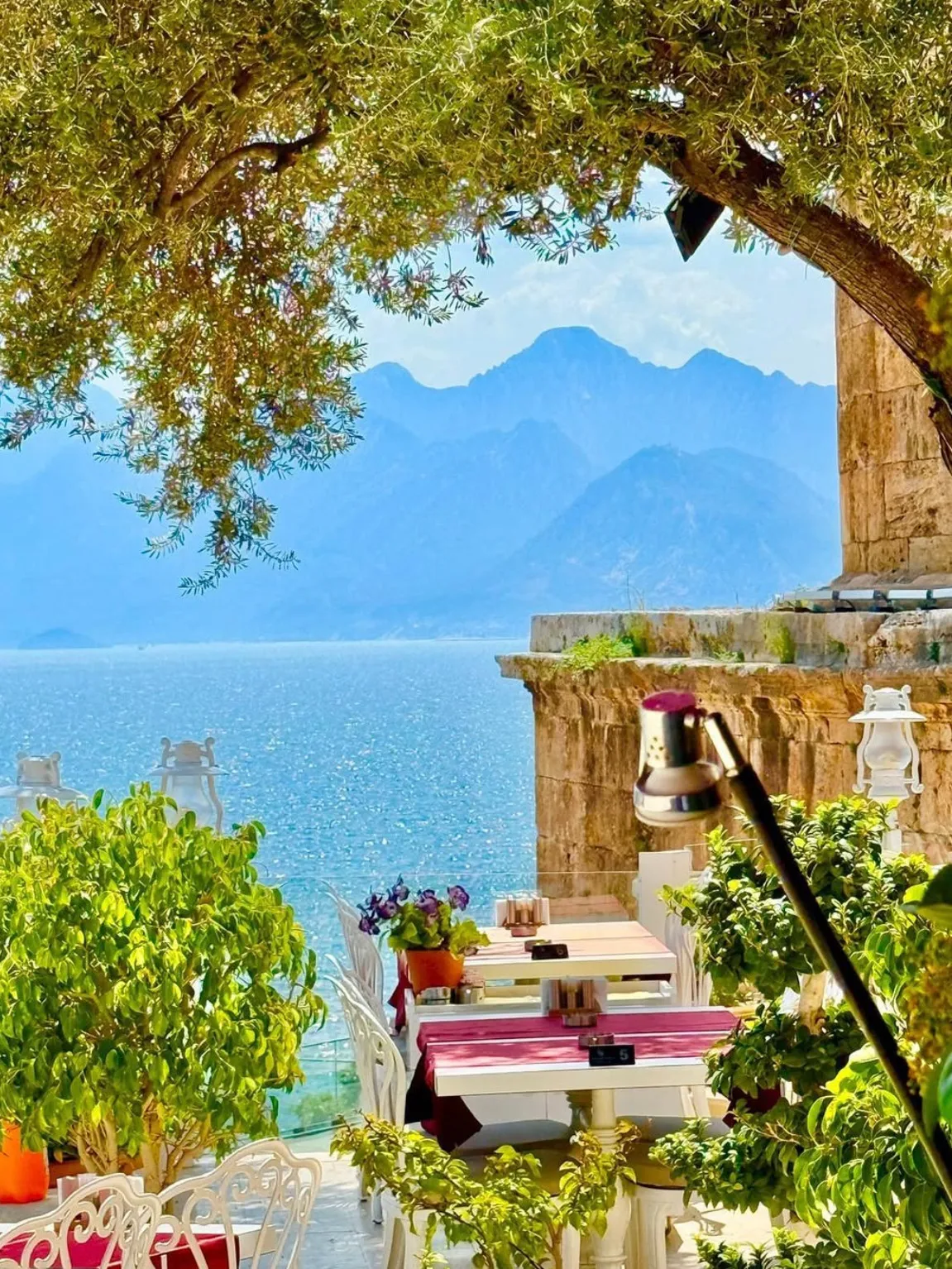 Mavi denize ve uzaktaki dağlara nazır, yemyeşil ağaçlar altında, şık beyaz masa ve sandalyelerin pembe masa örtüleriyle süslendiği bu açık hava restoranı manzarası, keyifli bir yemek deneyimi için sakin bir atmosfer sunuyor.