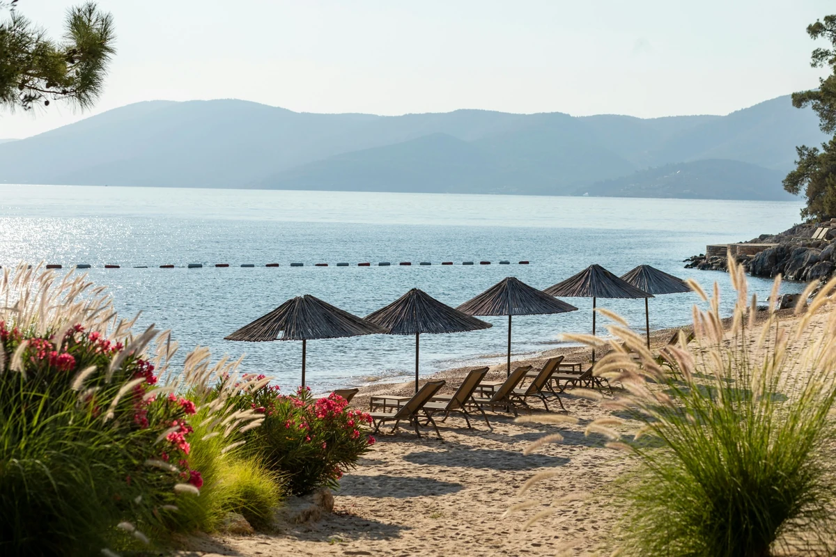 Bodrum'da yaşamak fikrini güçlendiren, denize nazır hasır güneş şemsiyeleri, şezlonglar, yemyeşil bitki örtüsü ve sakin Ege manzarası.