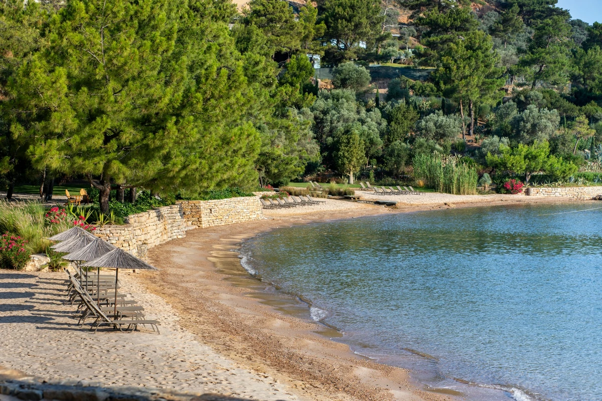 Bodrum'da yaşamak isteyenler için çam ve zeytin ağaçlarıyla çevrili, hasır şemsiyeli sakin koy plajı ve berrak turkuaz deniz.