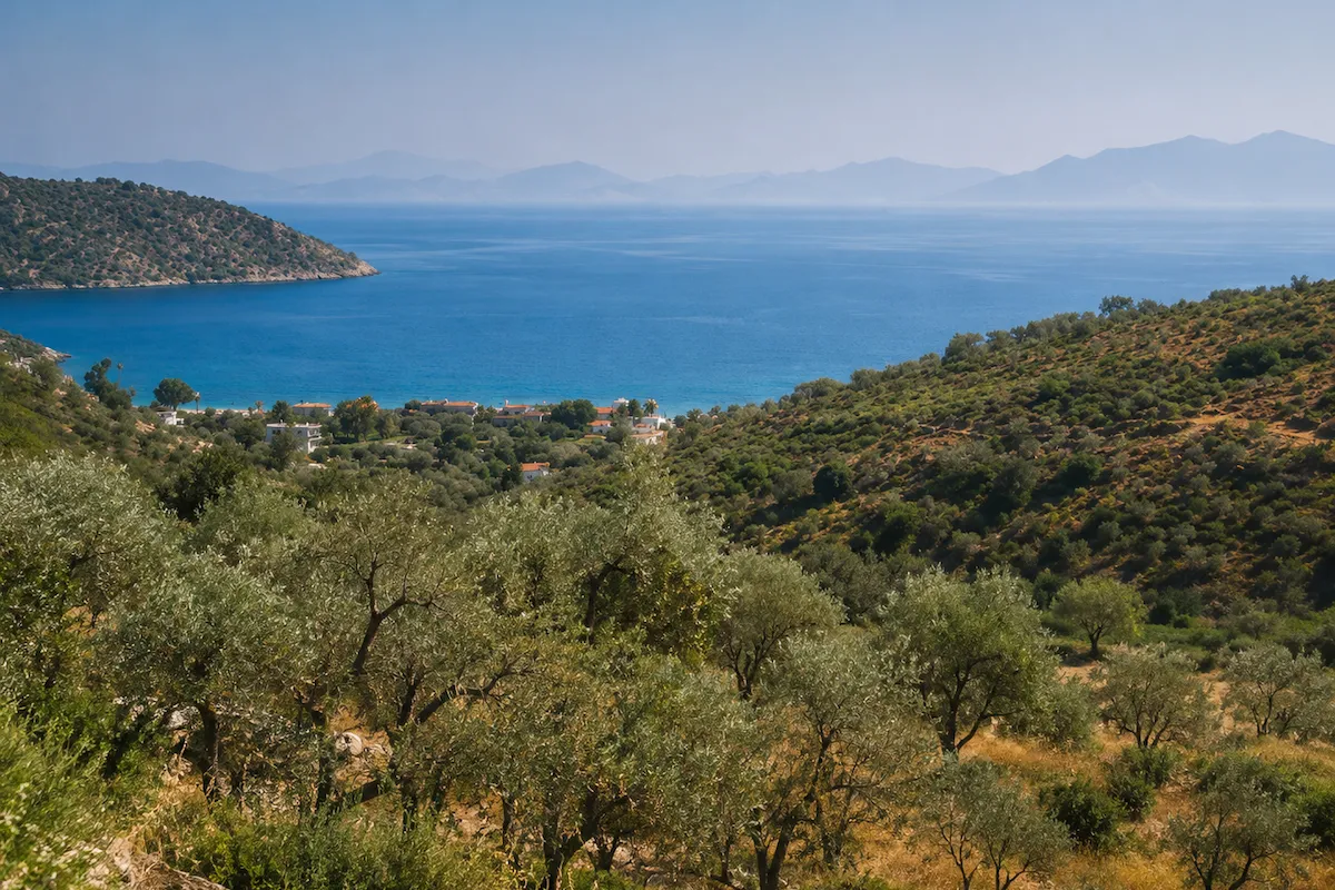 Bodrum'da yaşamak fikrini yansıtan zeytinliklerle kaplı yemyeşil bir yamaçtan, masmavi Ege Denizi kıyısındaki beyaz evler ve uzaktaki dağ silüetleri görünüyor.