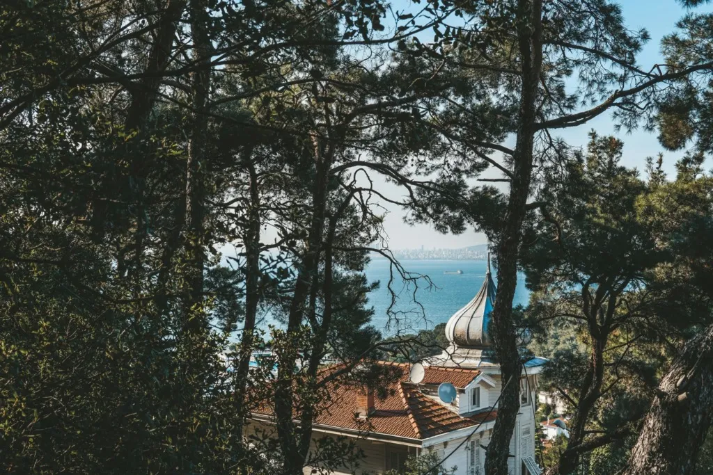 Büyükada’da çam ağaçlarının arasından görünen tarihi bir yapı ve Marmara Denizi manzarası.
