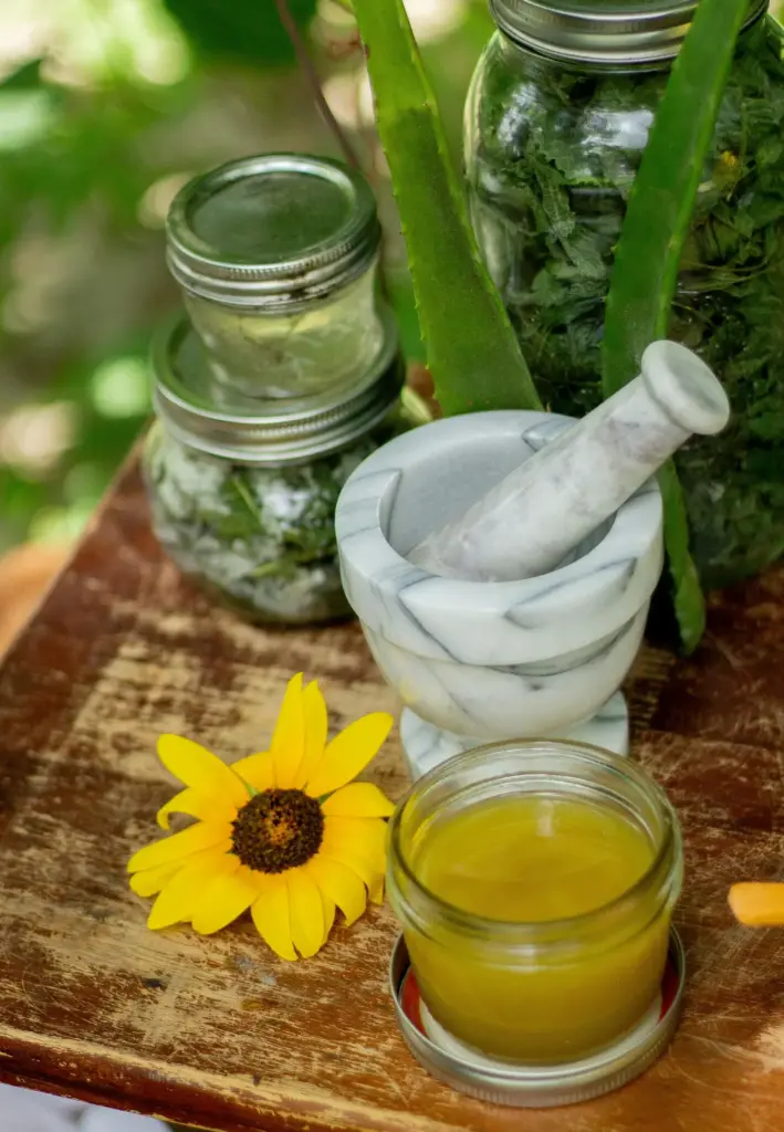 Cam kavanozlarda taze bitkiler, aloe vera yaprakları, mermer havanda ezilmiş doğal içerikler ve sarı çiçek eşliğinde hazırlanan bitkisel merhem; doğal aromaterapi ve bitki bazlı cilt bakımını yansıtan rustik kompozisyon.