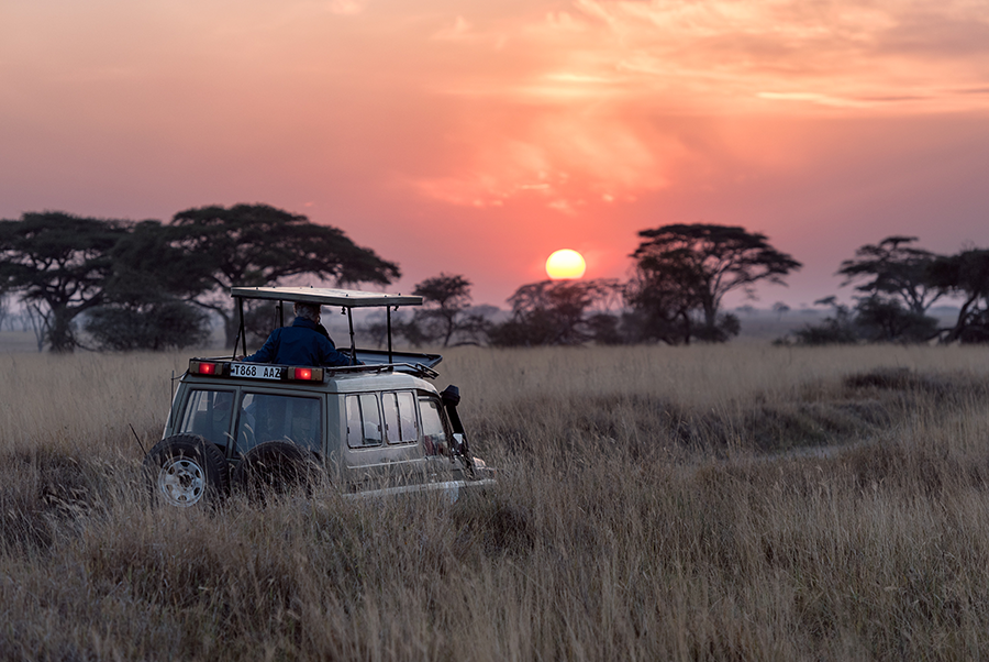 Güney Afrika savanlarında gün batımı eşliğinde safari aracı – vizesiz Afrika safari deneyimi