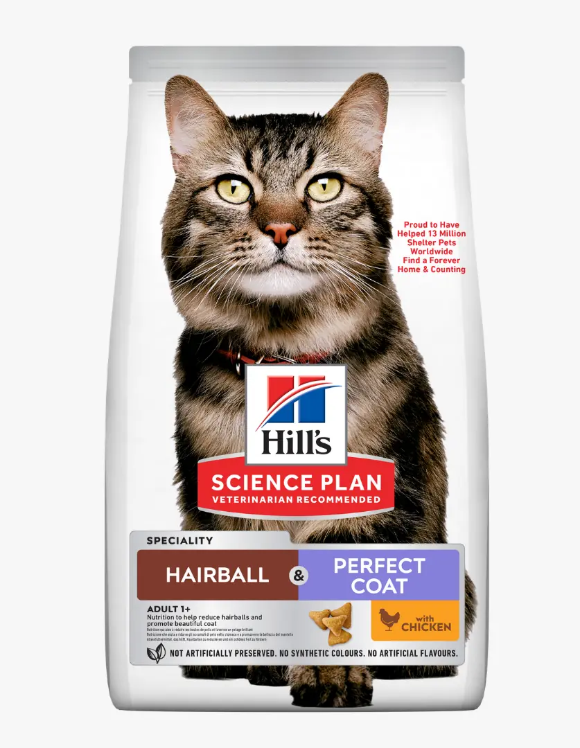 Beyaz bir Hill's Science Plan kedi maması paketi üzerinde, dikkat çekici sarı gözlü, kahverengi çizgili bir tekir kedi belirgin bir şekilde yer alıyor; bu özel mama tüy yumağı kontrolü ve mükemmel tüy sağlığı için tavuklu içeriğiyle öne çıkıyor.