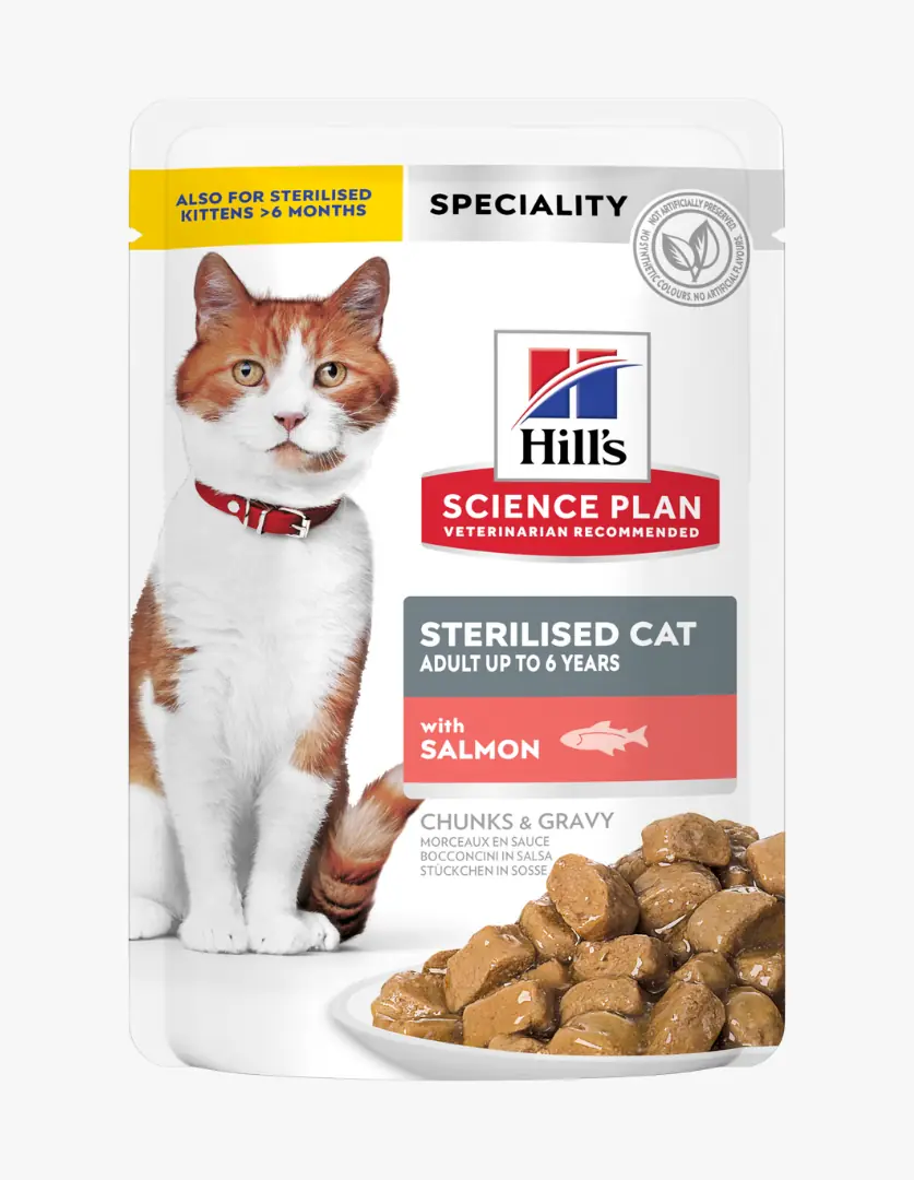 Beyaz ve turuncu tüylü, kırmızı tasmali bir kedi, yanında Hill's Science Plan markalı kısırlaştırılmış kediler için somonlu yaş mama paketinin önünde oturuyor; paket üzerinde mama parçacıklarının soslu bir tabakta sergilendiği bir görsel yer alıyor ve ürünün 6 yaşına kadar yetişkin kısırlaştırılmış kediler ile 6 aydan büyük kısırlaştırılmış yavru kediler için olduğu belirtiliyor.