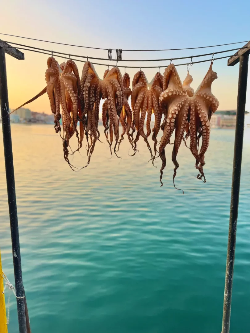 Midilli'nin masmavi sularına nazır bir iskelede, gün batımının pastel tonları altında taptaze ahtapotlar geleneksel usulde ipe dizilerek kurumaya bırakılmış, adanın eşsiz deniz ürünleri lezzetlerini bekleyenleri selamlıyor.