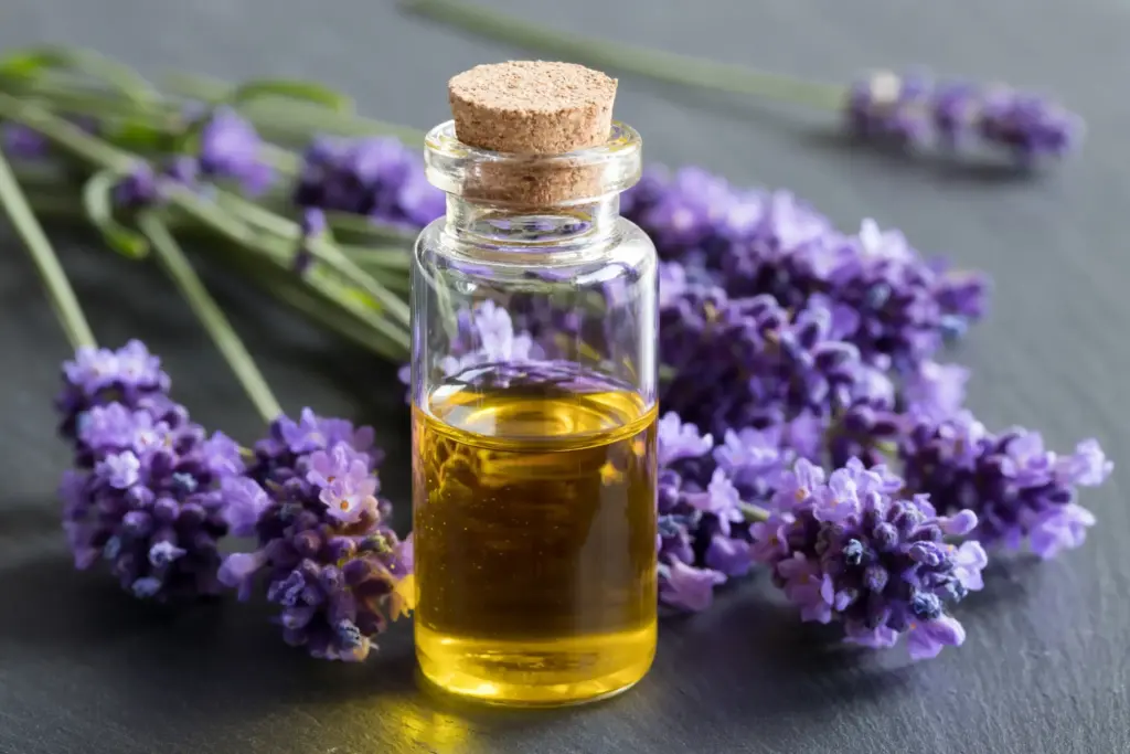 Taze lavanta çiçekleriyle birlikte sergilenen doğal lavanta yağı; rahatlatıcı aromasıyla bilinen cam şişede saf uçucu yağ.