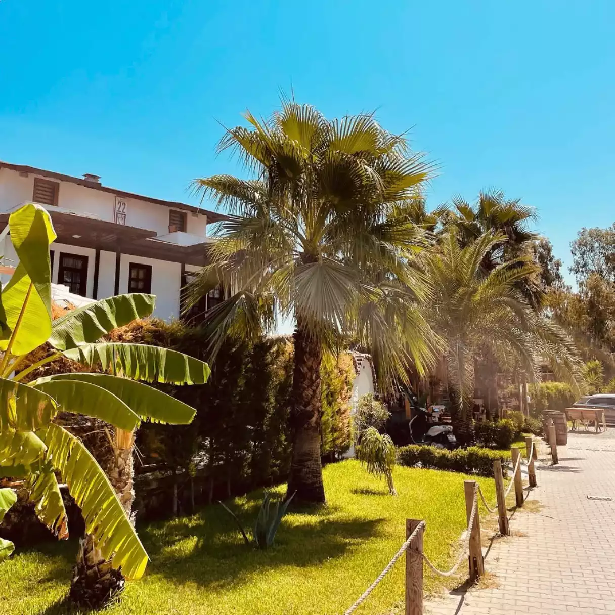 Akyaka'daki 22 Inn adlı konaklama tesisinin önünde, parlak mavi bir gökyüzü altında yemyeşil çimenler, muz ağacı ve uzun palmiye ağaçlarıyla çevrili, kenarında ahşap direkler ve iple çevrili bir kaldırımın görüldüğü güneşli bir manzara.