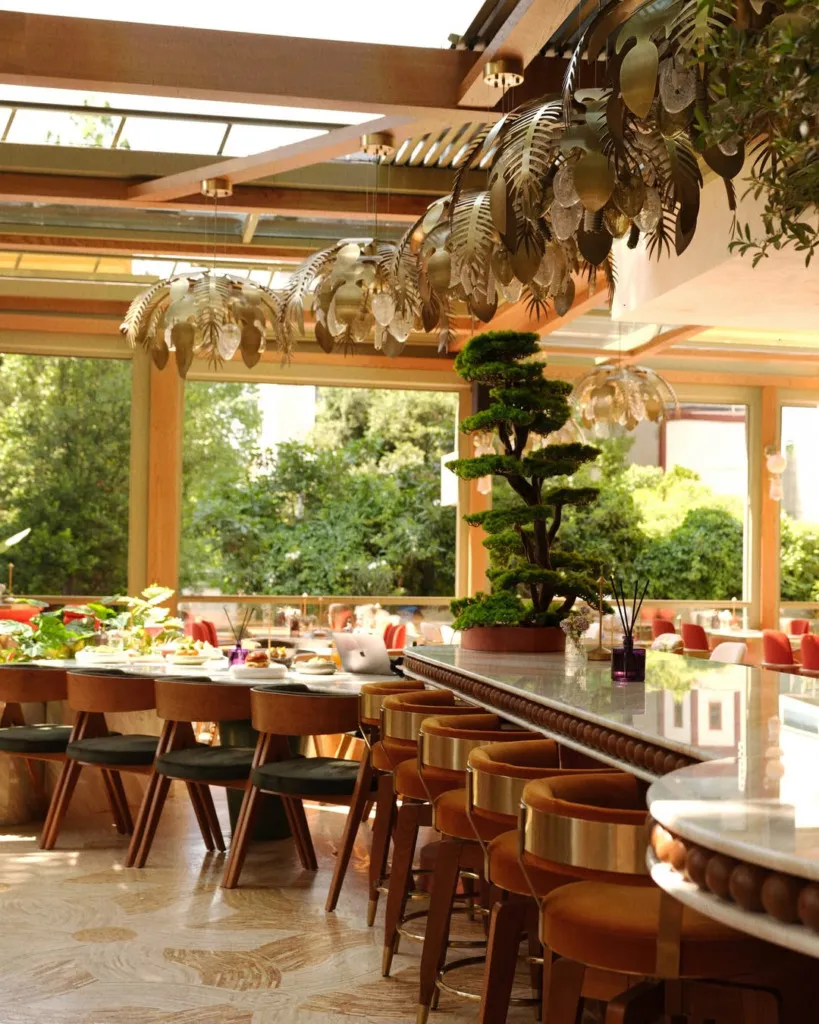 Suadiye’de Paolina Cocktail & Kitchen’ın modern tasarımlı, bitkilerle çevrili şık bar alanı ve ferah atmosferi.