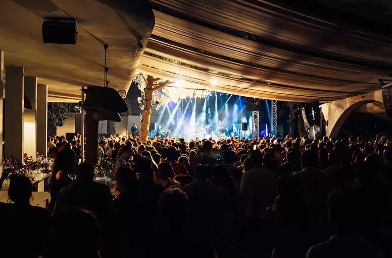 Paparazzilerin de odak noktası olabilecek, tavan beziyle örtülü büyük bir mekanda sahnedeki müzik grubunun mavi ve beyaz ışıklarla aydınlandığı, yüzlerce kişinin siluetler halinde dans edip müzik dinlediği coşkulu bir canlı konser anı.