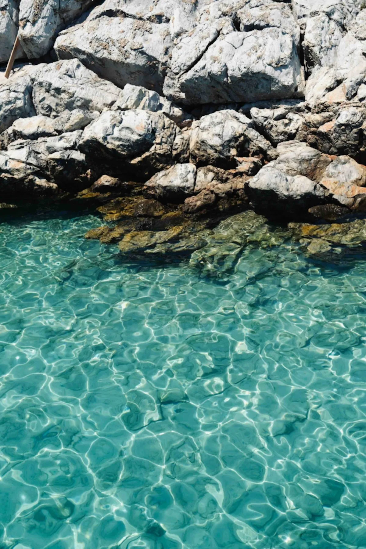 Bodrum'un Akvaryum Koyu'nda, güneş ışınlarının pırıltılarının su yüzeyinde dans ettiği, berrak turkuaz rengindeki deniz suyu, dibindeki taşları ve kıyıya vuran yüksek, açık renkli kayalıkları kristal netliğinde gözler önüne seriyor.