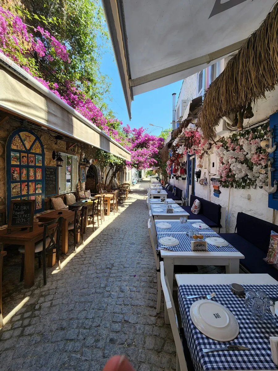 Alaçatı'nın mor begonvillerle bezenmiş Arnavut kaldırımlı, şirin bir restoran sokağında, sağ tarafta mavi-beyaz kareli örtülerle bezenmiş masalar ve banklar, sol tarafta ahşap masa-sandalyeler ile açık havada yemek keyfi sunan mekanlar güneşli bir havada uzanıyor.