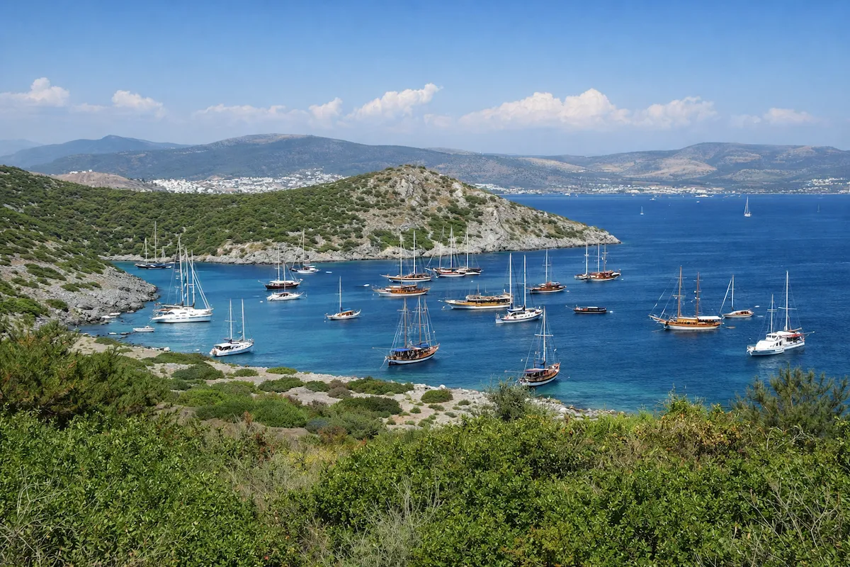 Bodrum seyahat rehberi: Masalımsı Bitez Koyu'nun berrak turkuaz sularında, yemyeşil tepelerle çevrili bir kıyı şeridinde, Bodrum'un eşsiz güzelliklerini yansıtan sayısız yelkenli ve geleneksel teknenin demirlediği huzurlu bir manzara.