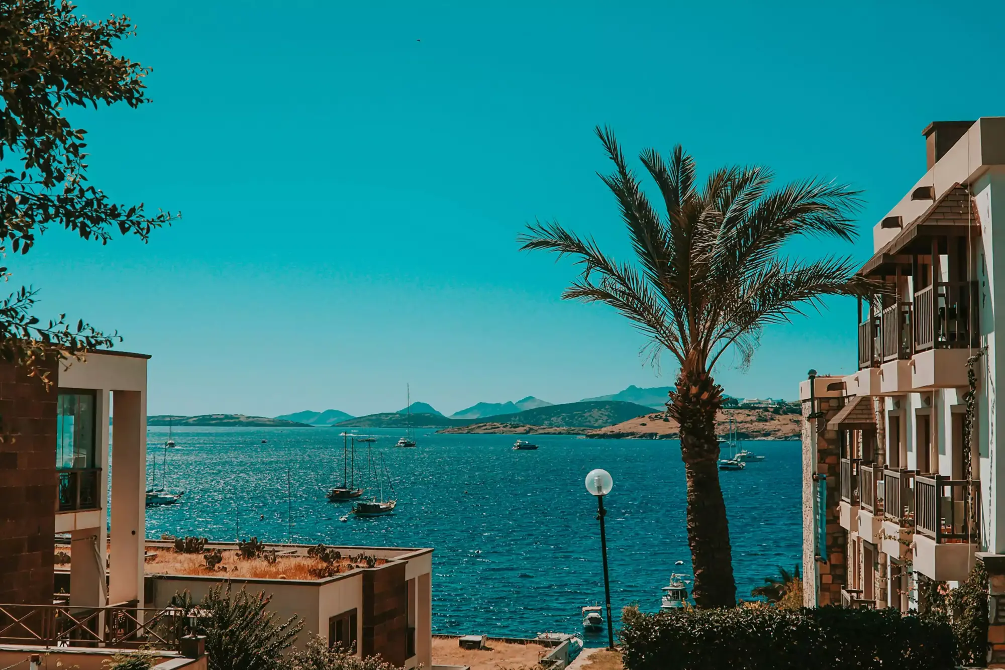 Bodrum seyahat rehberi: Berrak turkuaz denizde demirlemiş birçok teknenin görüldüğü, ön planda modern ve geleneksel mimariye sahip binaların arasına yerleşmiş bir palmiye ağacının yükseldiği, arka planda Bodrum'un dağlık kıyı şeridinin uzandığı güneşli bir manzara.