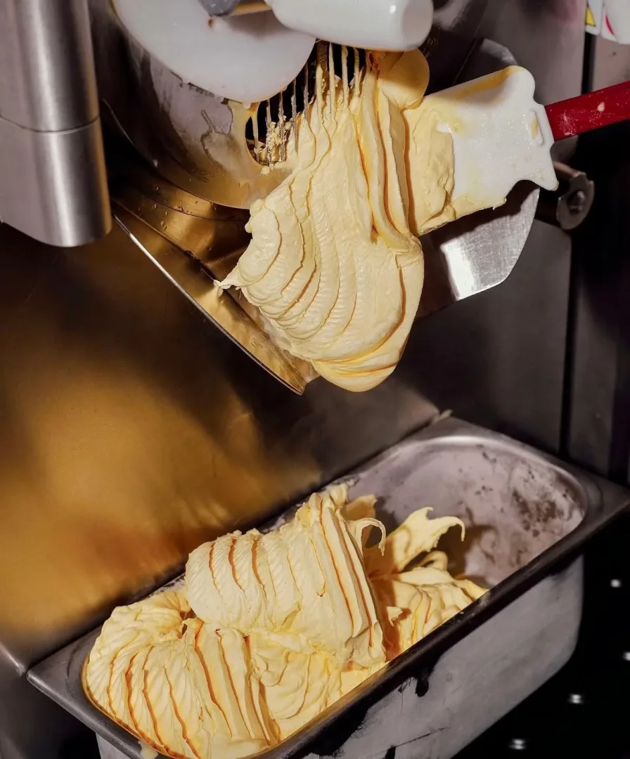Parlak metal bir gelato makinesinden, beyaz bir spatula yardımıyla oluklu bir metal kaba kıvrım kıvrım akan, açık sarı renkte, kremsi ve yeni hazırlanmış geleneksel Buontalenti gelatosunun dolum anı net bir şekilde görülüyor.