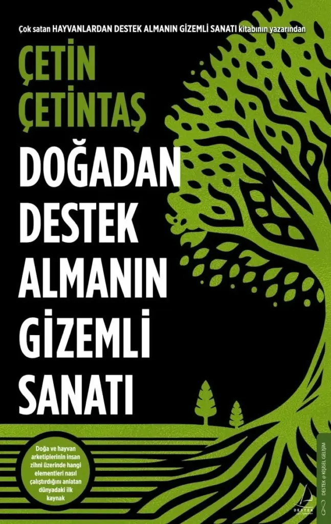 Çetin Çetintaş'ın 