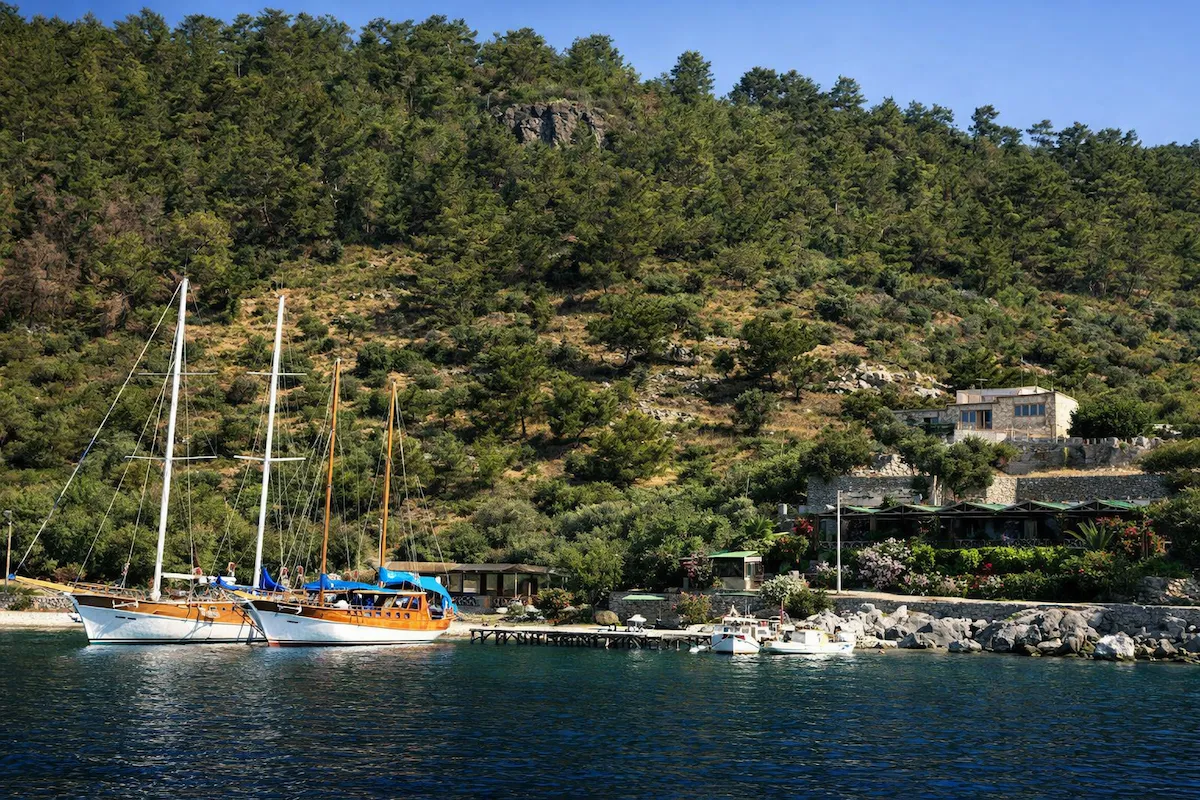 Bodrum seyahat rehberi: Bodrum'un Mazıköyü'nde sakin bir koyda, ön planda masmavi denizde kıyıya yanaşmış iki geleneksel ahşap gulet ve iskeleye bağlı küçük teknelerle, arkada yemyeşil ağaçlarla kaplı tepelerin eteklerinde yer alan taş evler ve restoranlar huzurlu bir atmosfer sunuyor.
