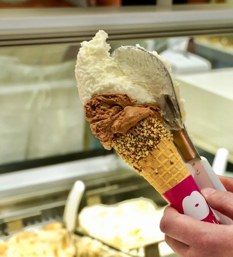 Bir dondurma ustasının elinde, alt kısmı çikolata kaplı ve fındık parçacıklarıyla süslenmiş waffle külahında, bir kepçe yardımıyla taze servis edilen, sütlü beyaz ve yoğun kahverengi iki top enfes İtalyan gelatosu görünüyor.