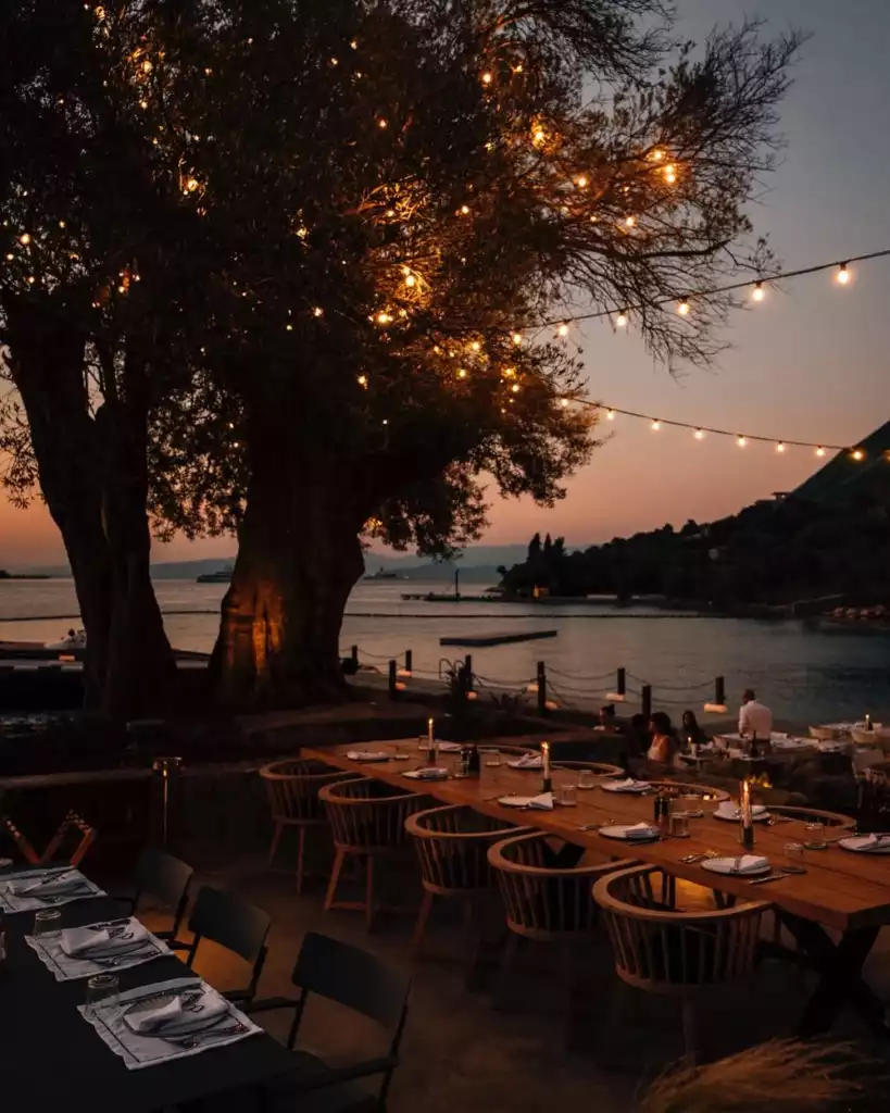 Bodrum'da, alacakaranlıkta denizin kıyısında yer alan şık bir açık hava restoranında, etrafına sarılı parıldayan lambalarla aydınlatılmış büyük bir ağacın gölgesinde özenle hazırlanmış ahşap yemek masaları, misafirlere huzurlu ve romantik bir akşam yemeği deneyimi sunuyor.