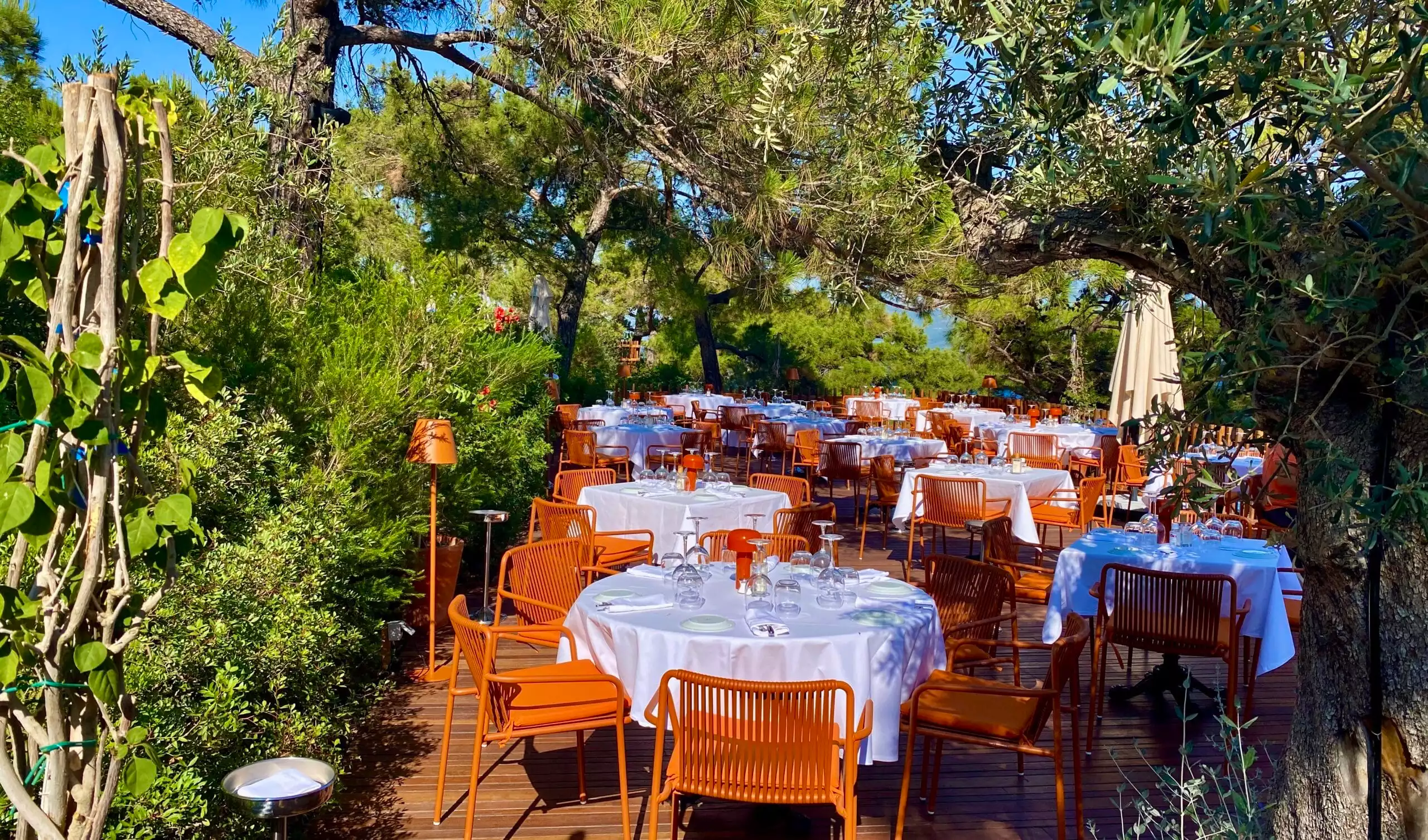 Bodrum'un yemyeşil ağaçlarının gölgesinde, ahşap zeminde sıralanmış, beyaz örtülü masaların ve turuncu sandalyelerin, masaların üzerindeki tabak ve bardaklarla zarif bir şekilde hazırlandığı davetkar bir açık hava restoranı ambiyansı.
