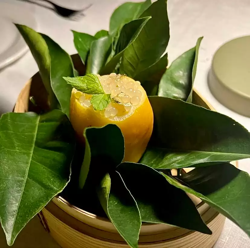 Bodrum'da özel bir restoran deneyimini yansıtan bu sunumda, içi nane ve yenilebilir altın yapraklarıyla zenginleştirilmiş şeffaf inci tanecikleriyle doldurulmuş, yarım limon benzeri parlak sarı bir meyve, taze yeşil yapraklarla çevrili ahşap bir kapta sanatsal bir şekilde servis ediliyor.
