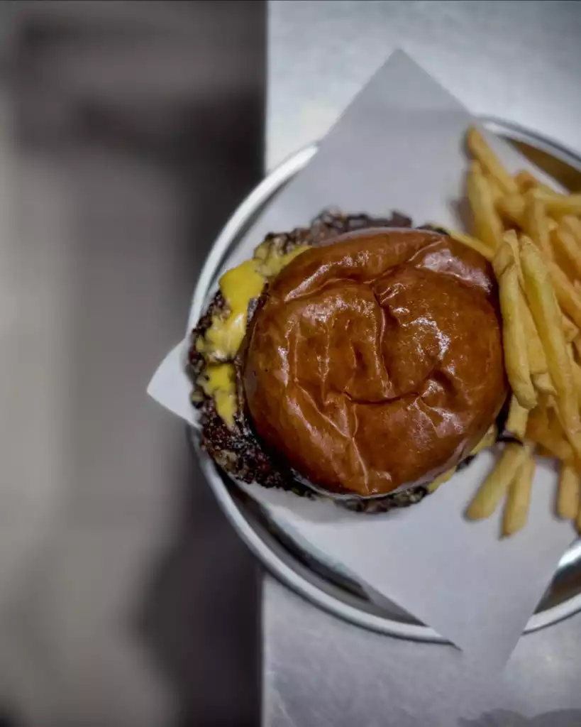Bir metal tabakta, eritilmiş peynirli, parlak kahverengi ekmekli bir burger ve yanında altın sarısı, çıtır patates kızartmaları görünüyor, bu lezzetli öğün Bodrum'da keşfedilebilecek birçok tat seçeneğinden biri olarak öne çıkıyor.