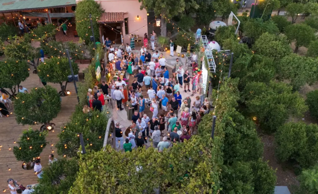 Bodrum Mandalinasını Korumak İçin: Zümrüt Yezdani Kedik “Bodrum Yeşili” Projesini Anlatıyor