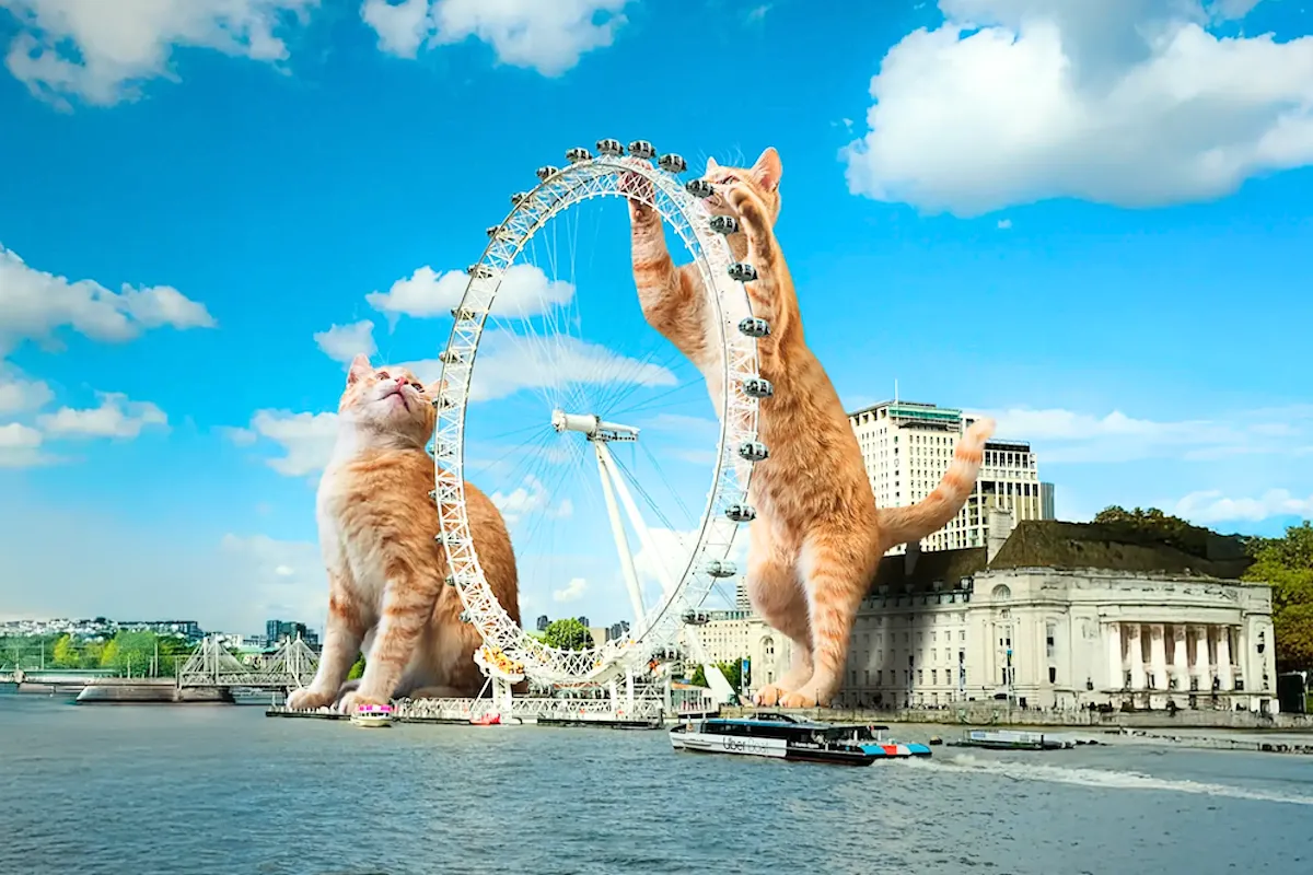 Kedi Severlerin İzlemesi Gereken En İyi Kedili Filmler