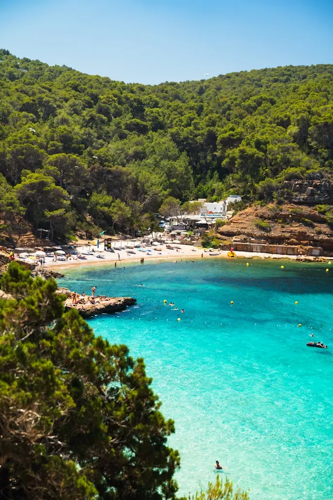 Ibiza'daki Cala Salada koyu, turkuaz suları, kumlu plajı ve yemyeşil tepeleriyle dikkat çekiyor; plajda güneşlenen ve denizde yüzen birçok insan, bu güzel adaya nasıl gidilir diye merak edenler için cazip bir tatil destinasyonunu gösteriyor.