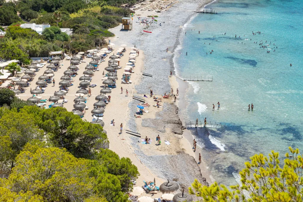 Cala Jondal plajının kuşbakışı görünümünde, altın rengi kumları kaplayan sıralı hasır şemsiyelerin altında dinlenen ve berrak turkuaz sularında yüzen çok sayıda tatilci, canlı yeşil ağaçlarla çevrili bu hareketli sahil ortamının tadını çıkarıyor.