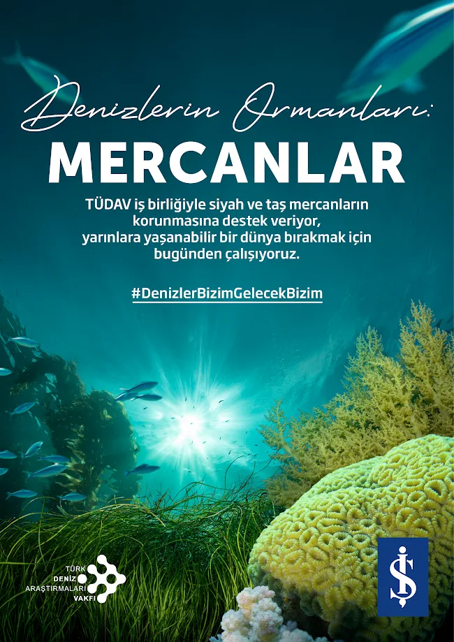 Denizler İçin Umut Var: Bilim, Gönüllüler ve Yeni Çözümler
