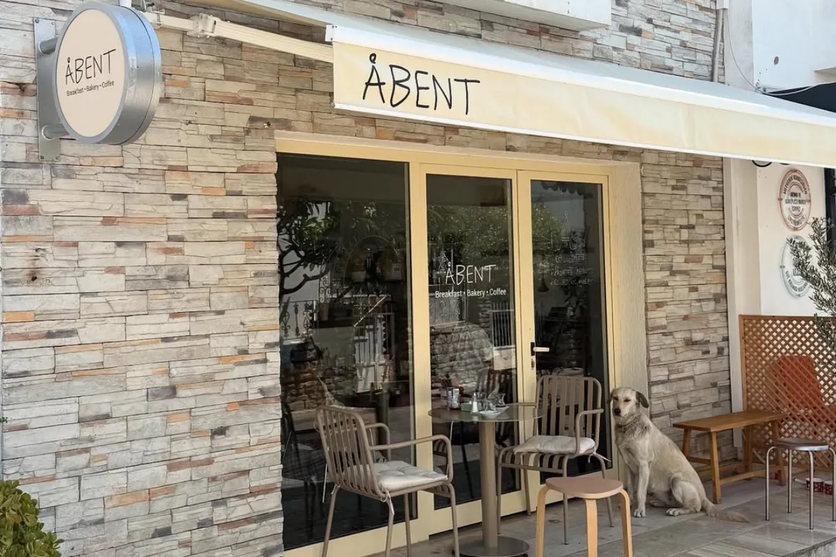 Mevsiminde Malzemeler, Yerel Tatlar ve Gerçek Sohbetler: Bitez’de Abent Deneyimi