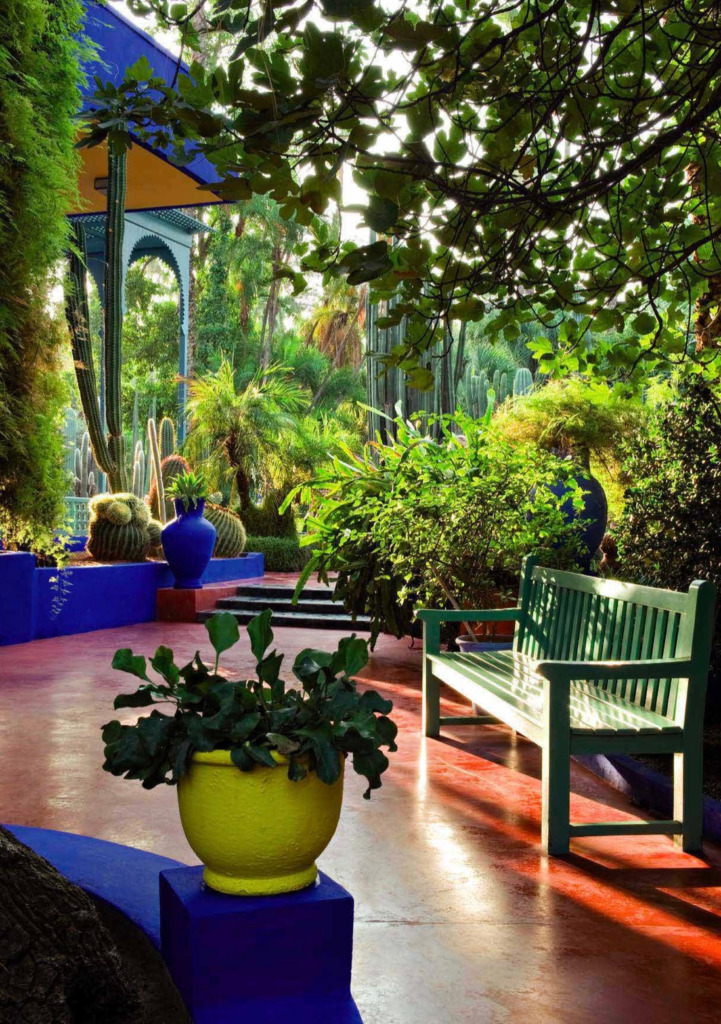 Marakeş'in eşsiz Jardin Majorelle'inde, canlı Renklerin coşkuyla dans ettiği Majorelle mavisi duvarlar ve saksılar arasında, egzotik kaktüsler ile yeşil bitkilerin gölgelerle süslendiği kırmızımsı turuncu zeminde, güneşin aydınlattığı huzurlu yeşil bir bank.