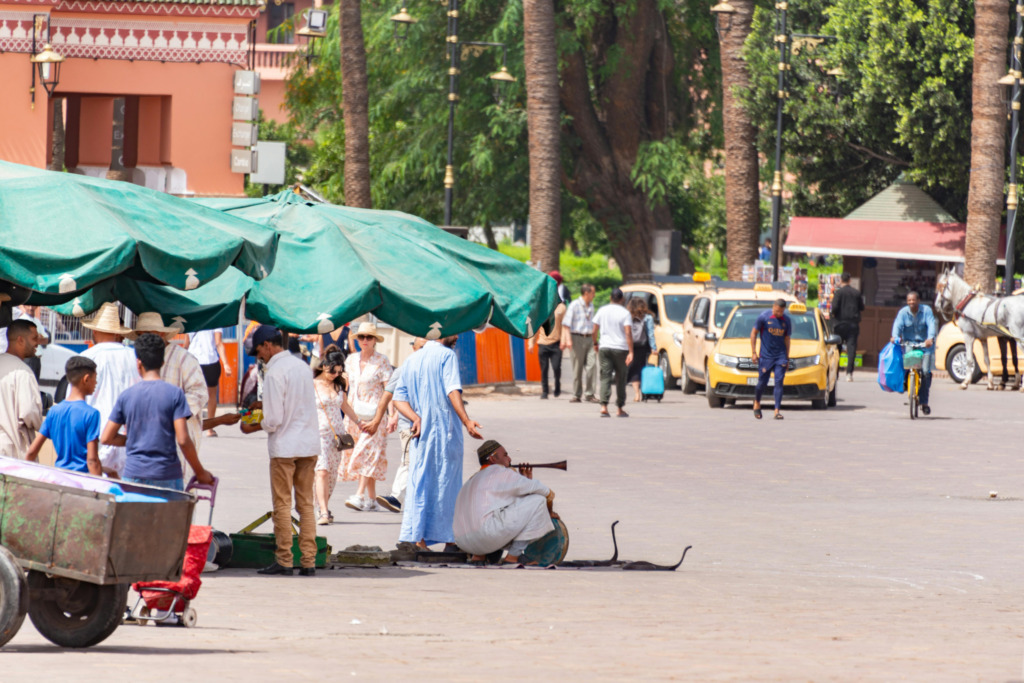 Marakeş'in kalbi Jemaa el-Fnaa Meydanı'nda, yemyeşil şemsiyelerin altında kalabalık insanlar dolaşırken, geleneksel giysili bir yılan oynatıcısı üflemeli çalgısıyla iki yılanı yerden yükseltiyor, çevrede taksiler ve atlı arabalarla hareketli bir atmosfer, adeta renklerle uyanan bir rüyayı yaşatıyor.