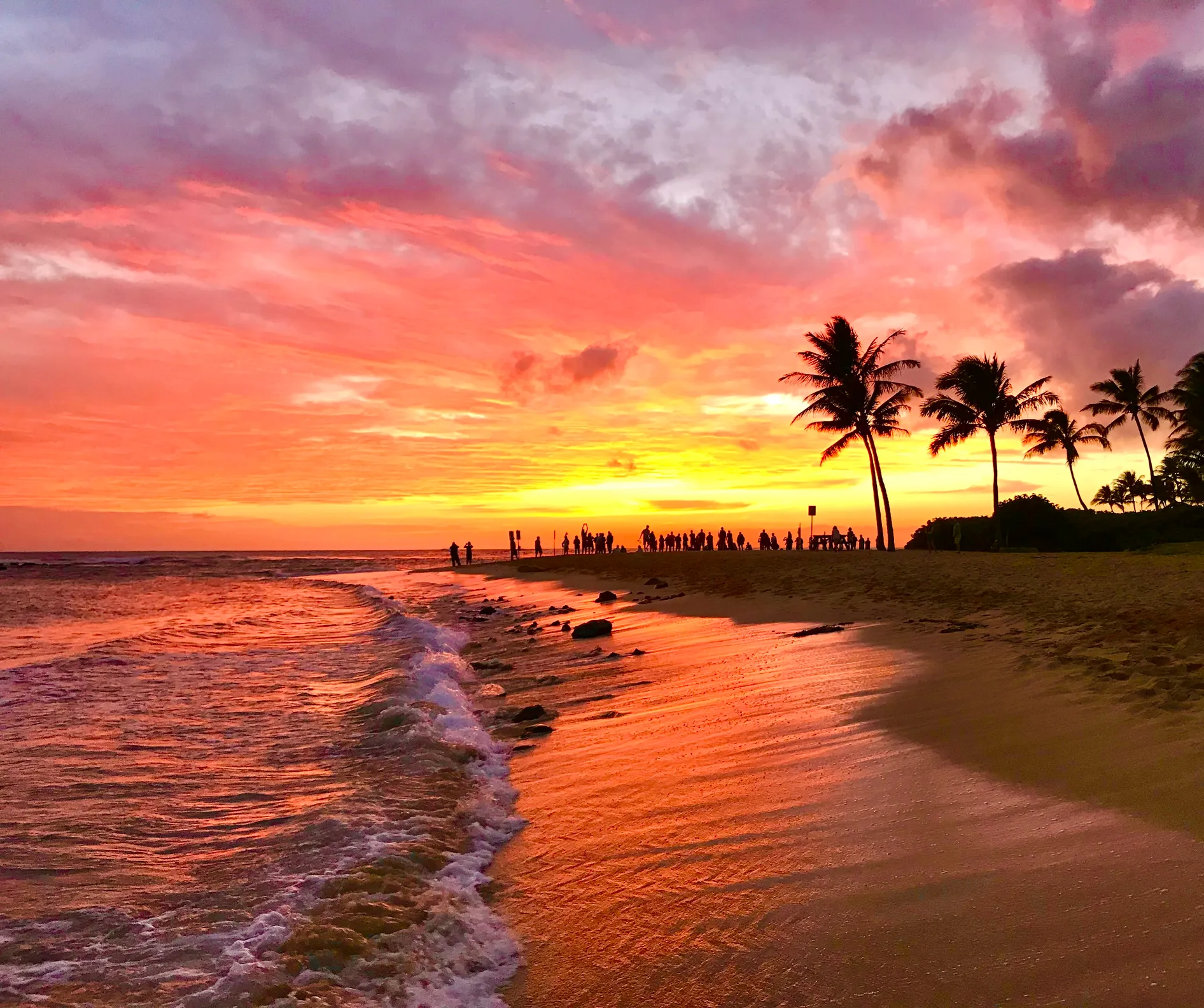 Romantik bir Hawaii evliliği veya balayı için mükemmel bir atmosfer sunan bu büyüleyici sahilde, palmiye ağaçlarının ve gün batımını izleyen insan silüetlerinin altında okyanusun dalgaları turuncu ve pembe renklerle parlıyor.