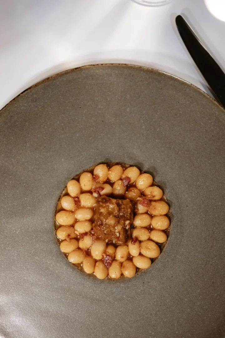 Lila Restaurant'ın özel menüsünden, rustik gri bir tabakta dairesel biçimde düzenlenmiş parlak beyaz fasulyelerin ortasında, koyu renkli soslu ve küçük et parçacıklarıyla zenginleştirilmiş kare şekilli bir et yemeği sunumu, restoranın modern mutfak anlayışını yansıtıyor.