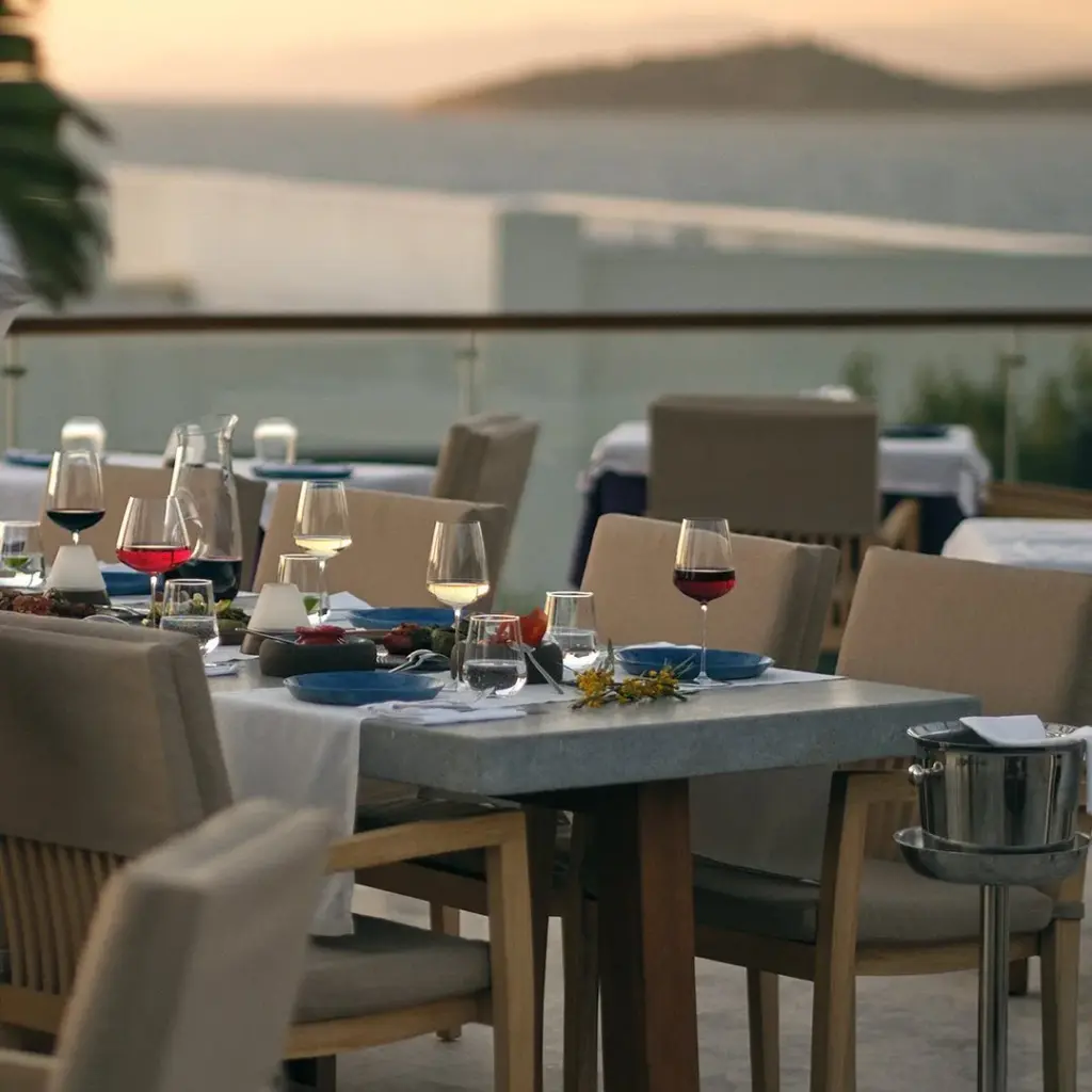 Torba’da Yıldızlı Bir Akşam: Malva