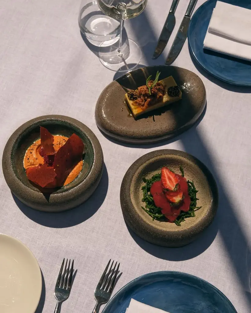 Torba’da Yıldızlı Bir Akşam: Malva