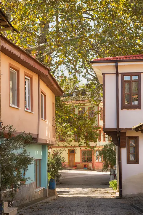 Bursa'da gezilecek yerler listesindeki Trilye'nin pitoresk ve dar, taş döşeli sokağında, sağda cumbalı ahşap pencereleriyle karakteristik beyaz bir konut, sol tarafta ise şeftali tonlarında sıvalı ve alt kısmı turkuaz rengi detaylara sahip geleneksel bir ev yer alıyor; yukarıda ise hafifçe sararmaya başlamış geniş yapraklı ağaçlar bu tarihi Rum köyünün sakin ve otantik atmosferini pekiştiriyor.