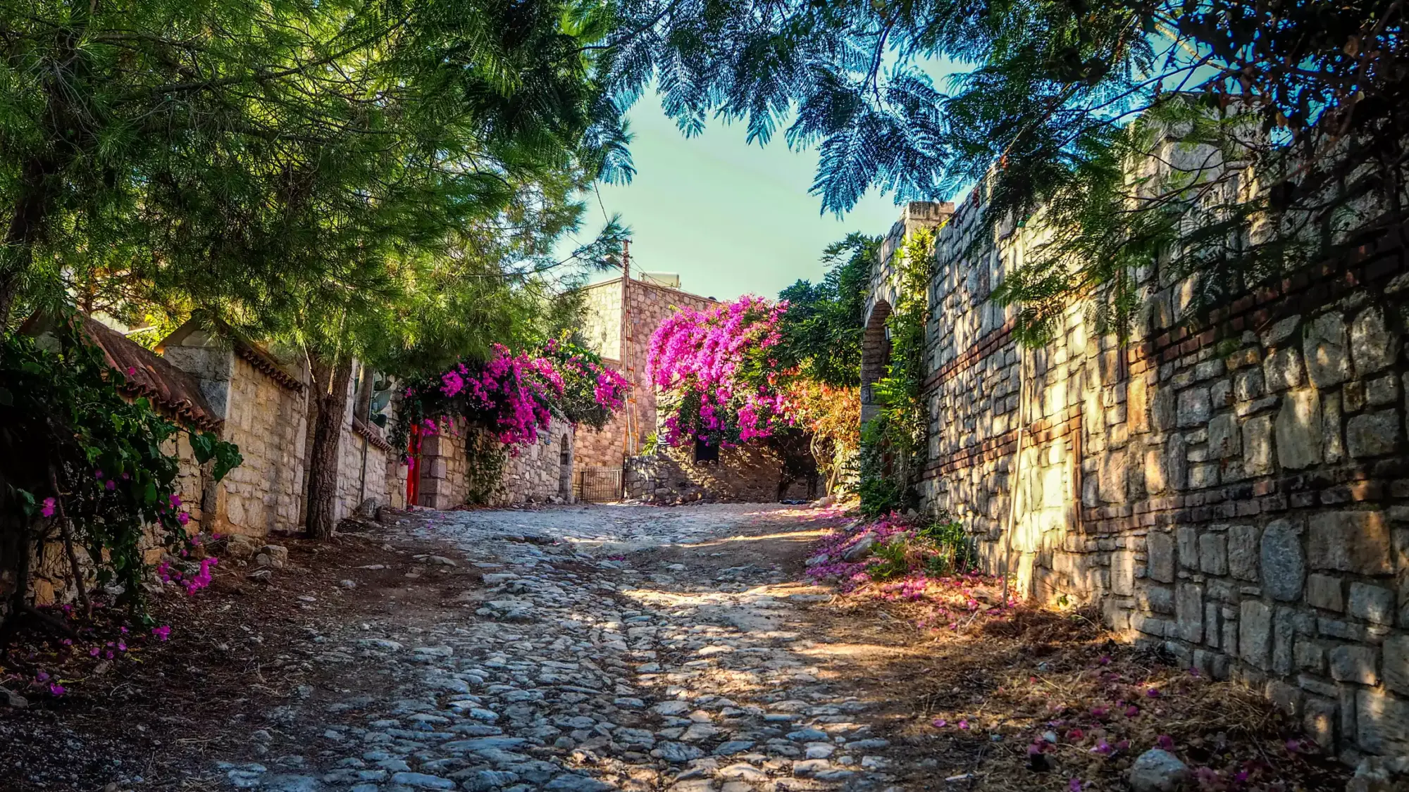 Datça'nın taş döşeli dar sokağı, pembe begonvillerle bezenmiş eski taş duvarları ve tepeden sarkan yeşil ağaçlarıyla güneşin gölgelerle dans ettiği, tarihi ve doğal güzellikleriyle büyüleyici bir atmosfere sahip.