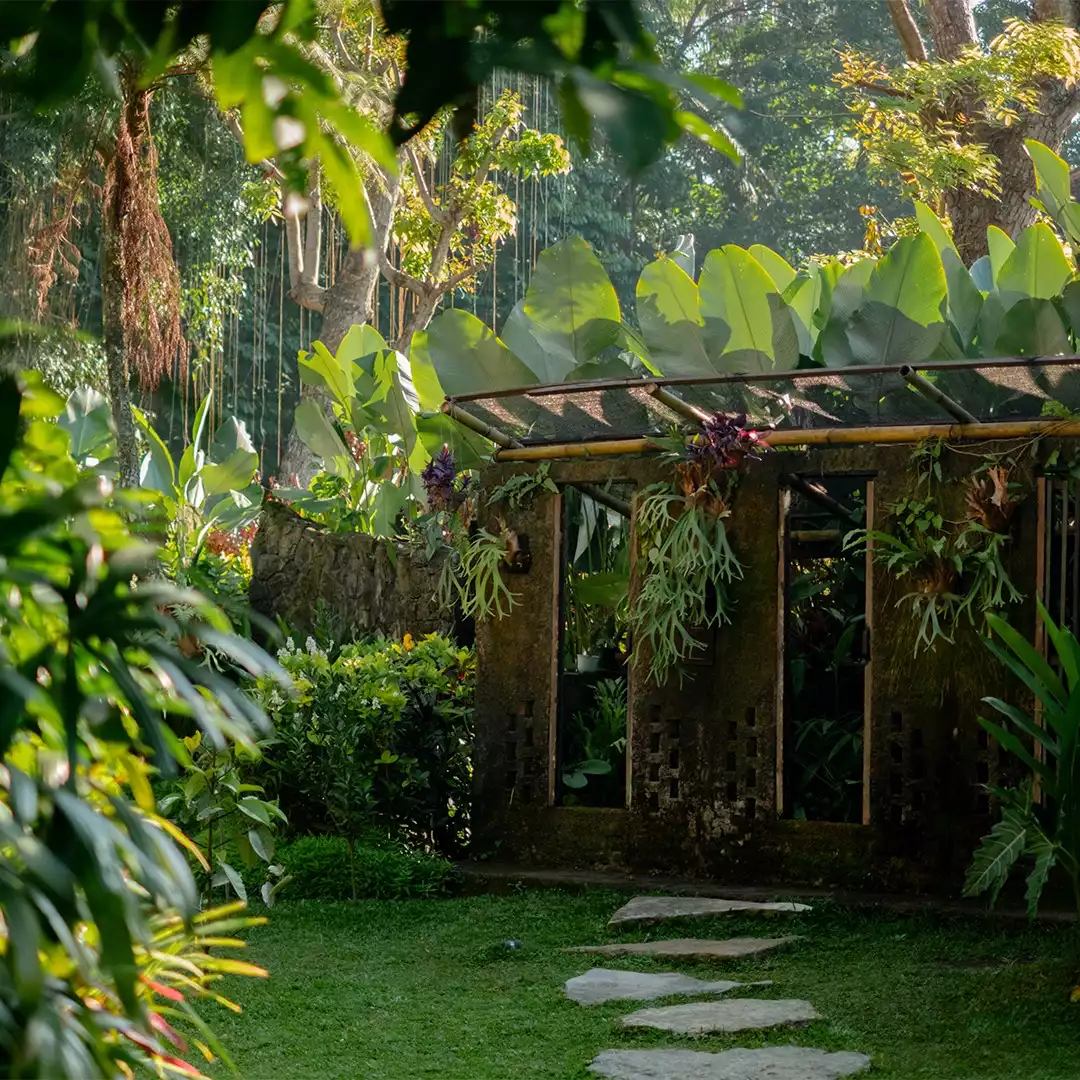 Bali Seyahat Rehberi