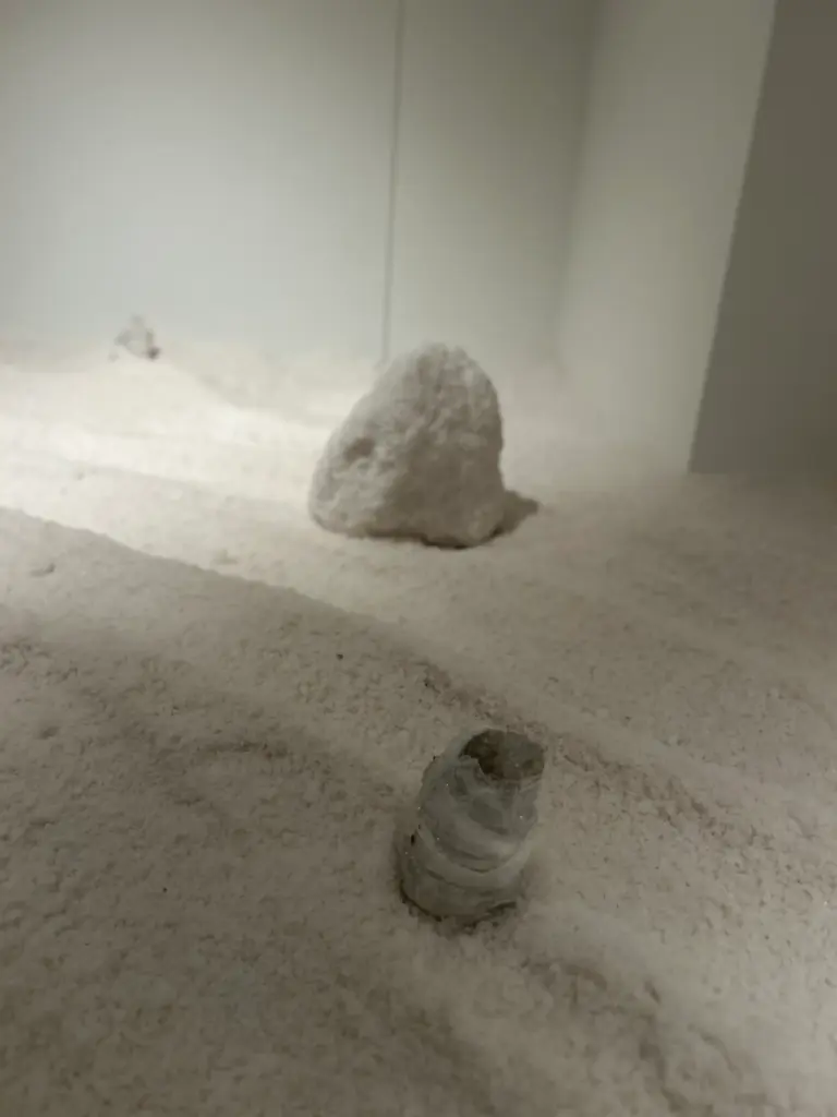 OGGUSTO Sanat Editörü Seçti: Bienal İzlenimleri ve Dikkat Çekenler