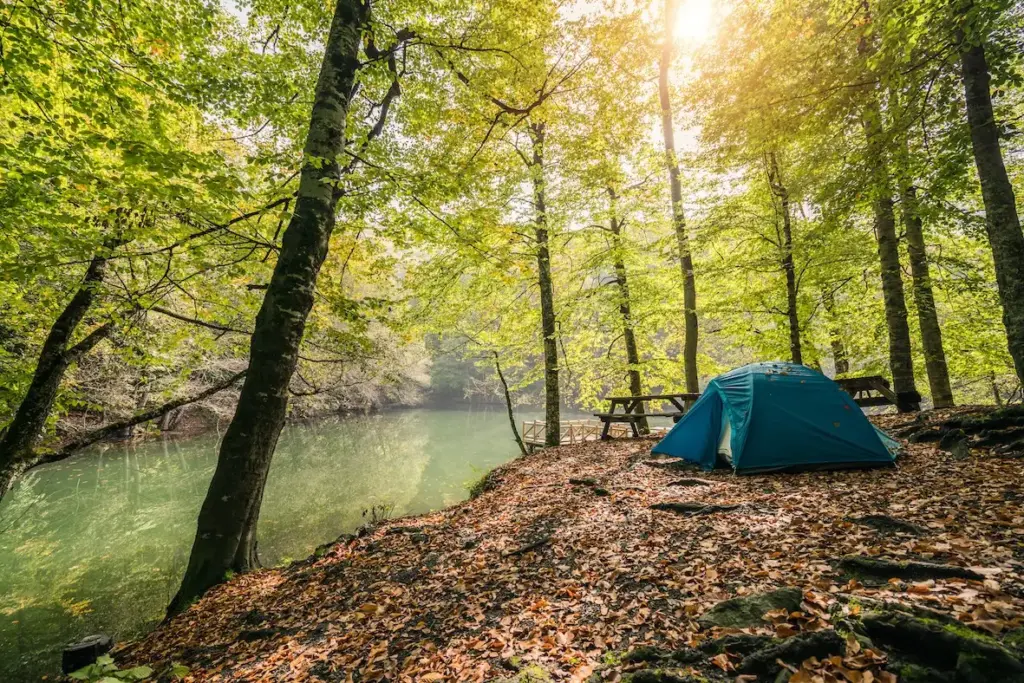 Bolu Kamp Alanları