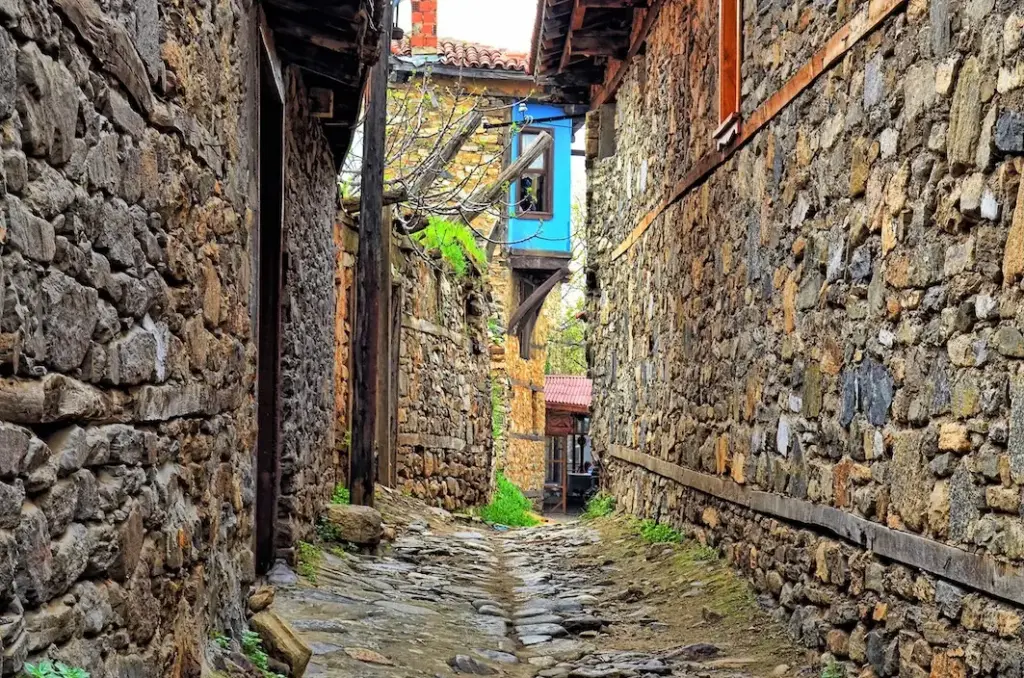 Bursa'da gezilecek yerlerden biri olan 700 yıllık Cumalıkızık köyünde, daracık Arnavut kaldırımlı bir sokak boyunca uzanan taş ve ahşap karışımı eski evler arasında, parlak mavi cumbalı penceresiyle zamanda yolculuk hissi veren otantik bir manzara.