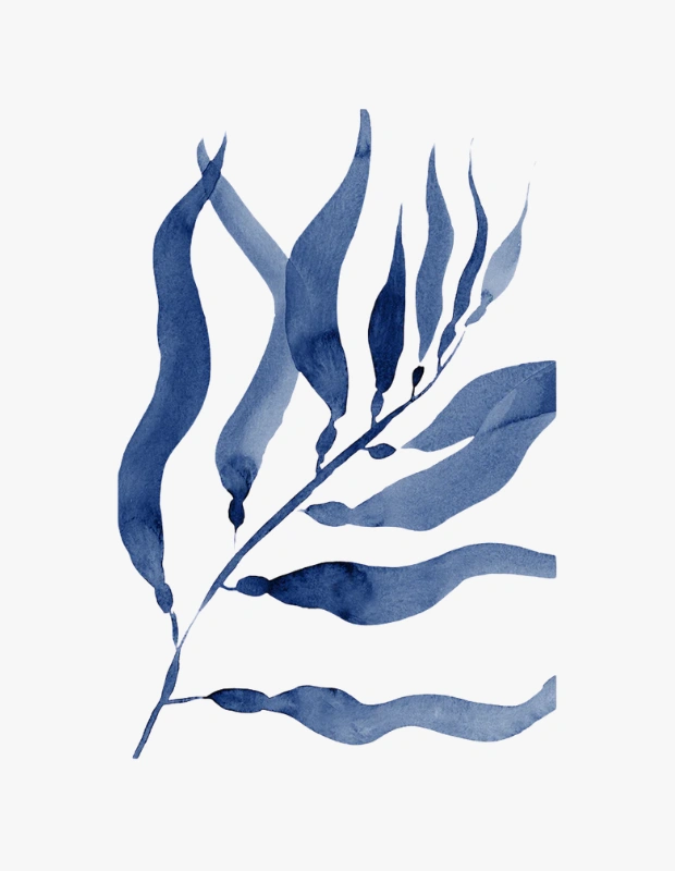 Ürün Cinsiyeti: Unisex
Ürün Tipi: Duvar Dekoru
Ürün Sezonsallığı: Dört Mevsim
Ürün Çeşidi: Poster / Sanat Baskısı
Ürün Özellikleri:
Nordika Gallery Blue Leaves poster, mavi tonlardaki botanik illüstrasyonuyla duvarlarda sakin ve sanatsal bir etki yaratır. Minimal kompozisyonu sayesinde modern, İskandinav ve bohem dekorasyonlarla uyum sağlar.
Öne Çıkan Detaylar:
Botanik temalı illüstrasyon
Mavi tonlu sakin palet
Minimal ve sanatsal etki
Duvar dekoruna zarif vurgu
Kimler Kullanıyor?
Duvarlarında sanatsal ama sade bir ifade arayan, mekânına huzurlu bir karakter kazandırmak isteyenler için idealdir.
Nordika Gallery Blue Leaves poster ile duvarlarınıza sakin, sanatsal ve modern bir dokunuş ekleyin.