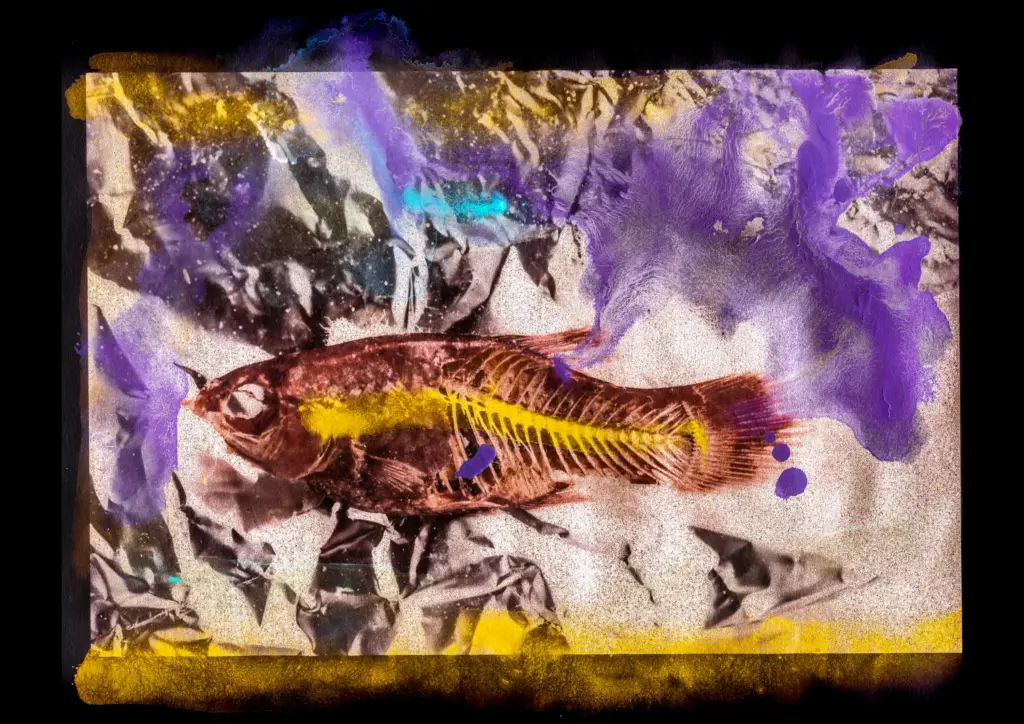 Orhan Cem Çetin'in , Memoria Piscium serisinden bir eser, 2019
