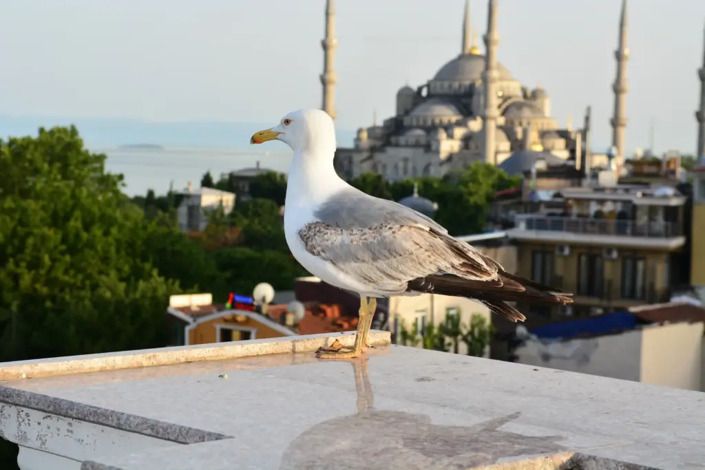 İki Kıta, Bin Hikâye: İstanbul’da Gezilecek Yerler Rehberi